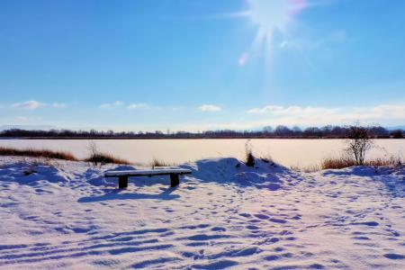 景观, 湖, 冻结, 银行, 冬天的印象, 寒冷, 雪
