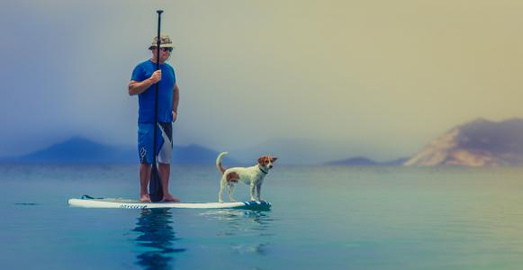 男子, 狗, 桨, 董事会, 海, 海洋, 水