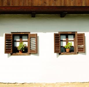 windows, 农村, 乡村, 房子, 首页, 花, 老