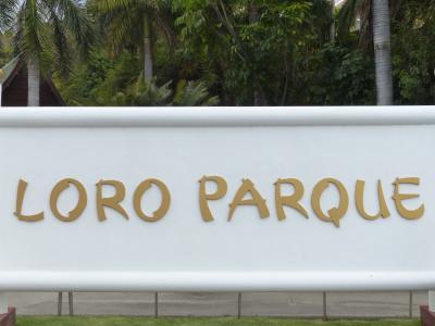 洛罗·皮亚 parkque, 动物园, 盾牌, 刻字, 徽标, 特内里费岛, 加那利群岛