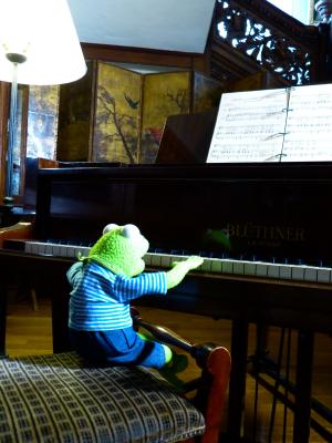 克米特, 青蛙, 钢琴, 戏剧, 锻炼, 音乐家, 钢琴家