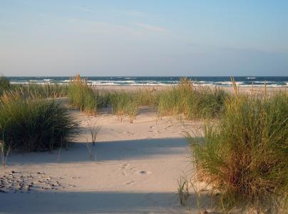 沙丘, 沙子, 海滩, 海, 波罗地海, 北海