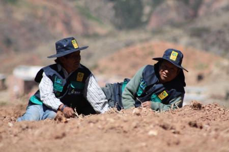 男子, 休息, 埃沃·莫拉莱斯·艾玛, 和平, 玻利维亚