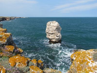 视图, 黑海, 岩石, 孤独, 保加利亚人