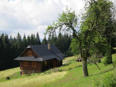 小屋, 房子, 孤独, 景观, 草甸
