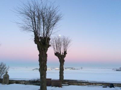 日落, 雪, 冬天, 自然, 树, 弗罗斯特, 低温