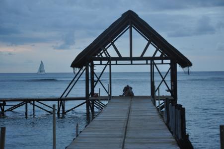 毛里求斯, 小木屋, 夫妇, 晚上, 海, 浮桥, 岛屿