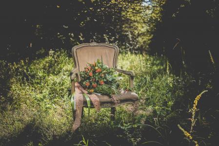 花, 椅子, 植物, 自然, 户外, 绿色, 草