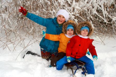 双胞胎, 兄弟, 姐姐, 雪, 戏剧, 雪橇, 冬天