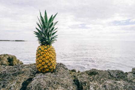 水果, 地平线, 海洋, 菠萝, 岩石, 海, 热带水果