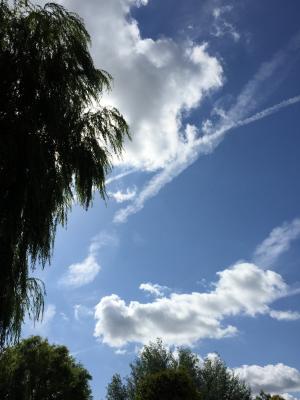 空气, 云彩, 飞机, 蓝蓝的天空, 云计算, 天空, 自然