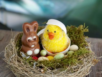 复活节的巢, 复活节, 复活节彩蛋, 鸡蛋, 复活节快乐, 星级, 小鸡