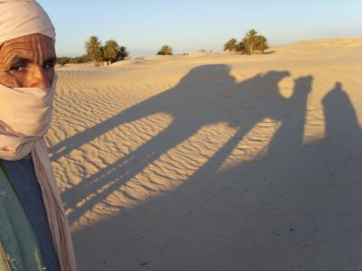 突尼斯, 沙漠, 日落, 沙丘, 剪影, 沙丘, 骆驼