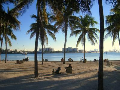 迈阿密, 佛罗里达州, 海洋, 海滩, 天际线, 水, 棕榈树