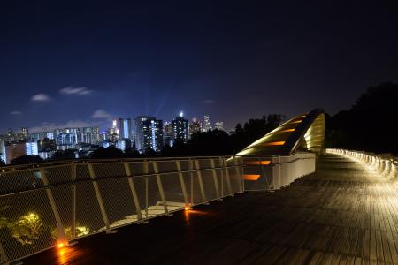 新加坡, 亨德森波浪桥, 建筑, 行人天桥, 梁, 晚上, 城市景观