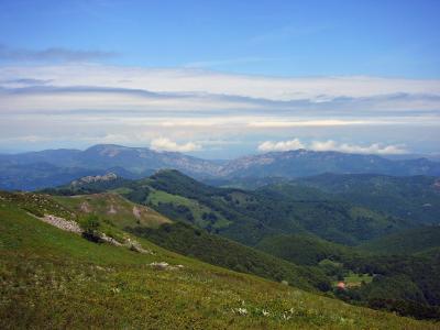 greben 山, 景观, 塞尔维亚, 山, 自然, 视图, 伍兹