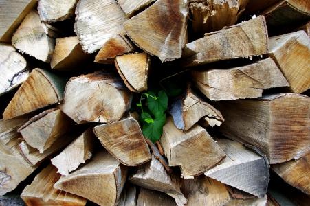 木材, 栅栏风在木头, 劈开木头, 木柴, 木材-材料, 树, 堆栈