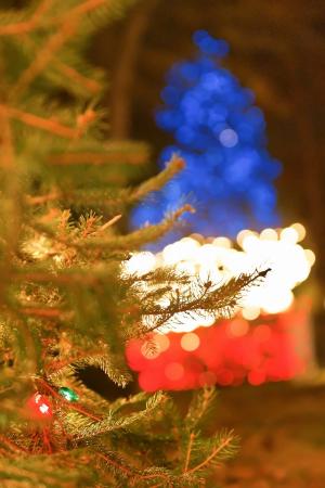令人敬畏, 美丽, 圣诞装饰, 圣诞树, 装饰, 假日, 灯
