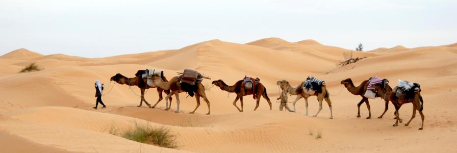 突尼斯, 沙漠, 商队, 沙子, 撒哈拉沙漠, 贝都因人, 骆驼
