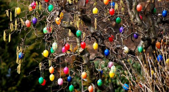 复活节, 布什, 花园, 复活节彩蛋在树上, 复活节装饰品, 鸡蛋, 多色