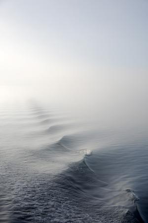 雾, 雾, 自然, 海洋, 海, 水, 波