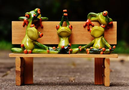 青蛙, 瑜伽, 银行, 板凳, 放松, 图, 有趣