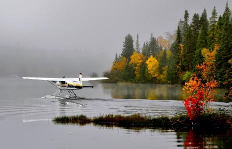 水上飞机, 自然, 水, 景观, 秋天, 湖