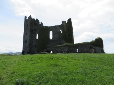 城堡, 爱尔兰, 景观, 自然