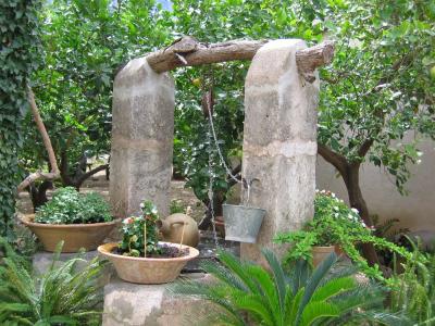 喷泉, 花园, 自然, 植物, 花盆