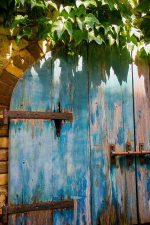 门, 老, 蓝色, 木材, 木制, 乡村, 又脏又臭