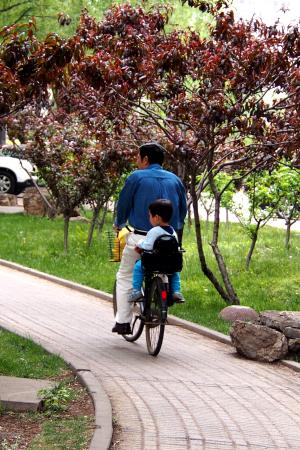 父亲和儿子, 图, 风景, 自行车
