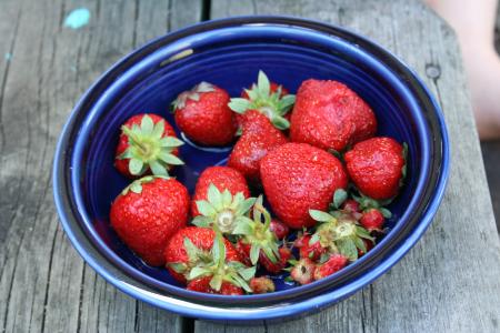 野草莓, 蓝碗, 蓝色, 碗里, 食品, 健康, 新鲜