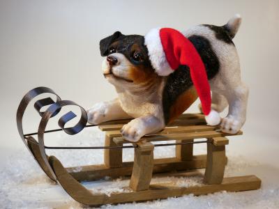 圣诞节, 狗, 圣诞狗, 圣诞节的时候, 圣诞快乐, 动物, 圣诞节