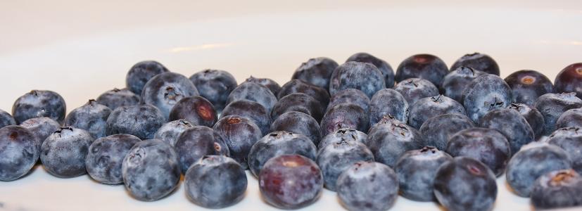 蓝莓, 食品, 健康, 弗里施, 甜, 生物, 成熟