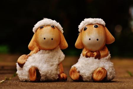 羊, 德科, 陶瓷, 可爱, 图, 软玩具, 羊毛