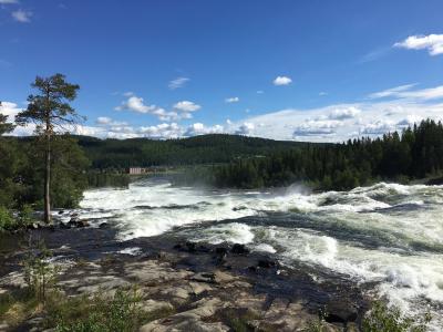 瀑布, 瑞典, 自然, 河, 水, 树, 岩石