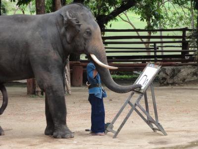 大象, 油漆, 泰国, 邦, 动物, 哺乳动物