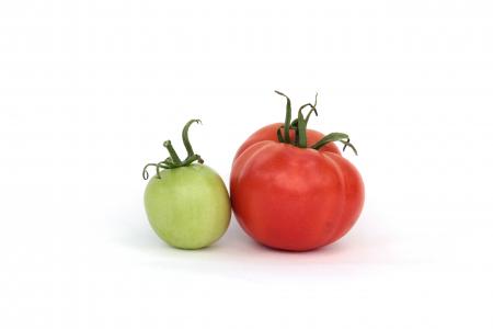 西红柿, 红色, 绿色, 夏季, 别墅, 收获, 蔬菜