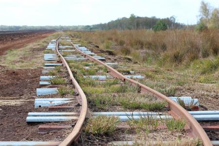 铁路钢轨, 似乎, 跟踪, 自然, 无止境, 道床