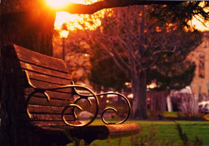 板凳, 黎明, 黄昏, 户外, 公园, 太阳眩光, 日出