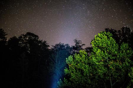 摄影, 午夜, 树木, 自然, 绿色, 星系, 星星