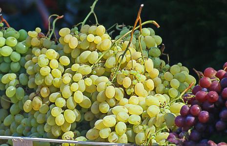 葡萄, 集团, 串葡萄, 白葡萄, 黑葡萄, 水果, 果