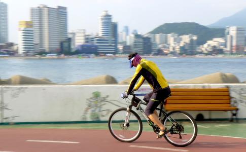 骑自行车, 自行车, 周期, 骑自行车的人, 骑自行车, 体育, 户外