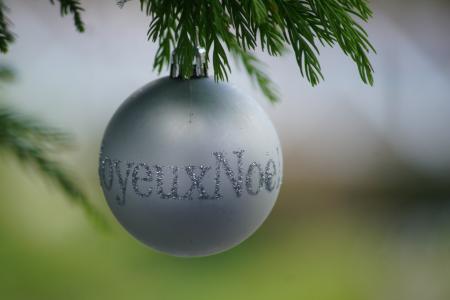 球, 圣诞节, 圣诞快乐, 装饰, 银, 树, 水晶球