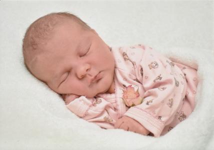 宝贝, 出生, 粉色, 新生儿, 女孩, 橡皮布, 爬衣