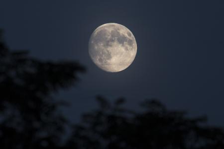 满月, 月亮, 晚上, 农历景观, 月光