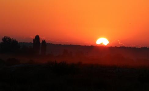 日出, 早上, 的阴霾, 景观, 红色
