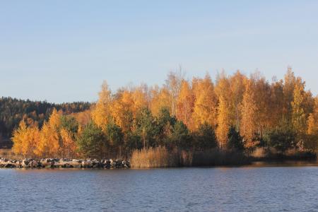 海, 秋天, 芬兰语, 景观, 自然, 树, 天空