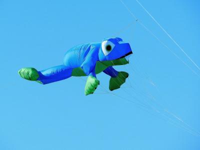 气球, 龙, 青蛙, 蓝色, 飞, 天空