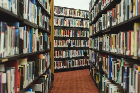 书籍, 研究, 图书馆, 货架, 阅读, 知识, 书呆子